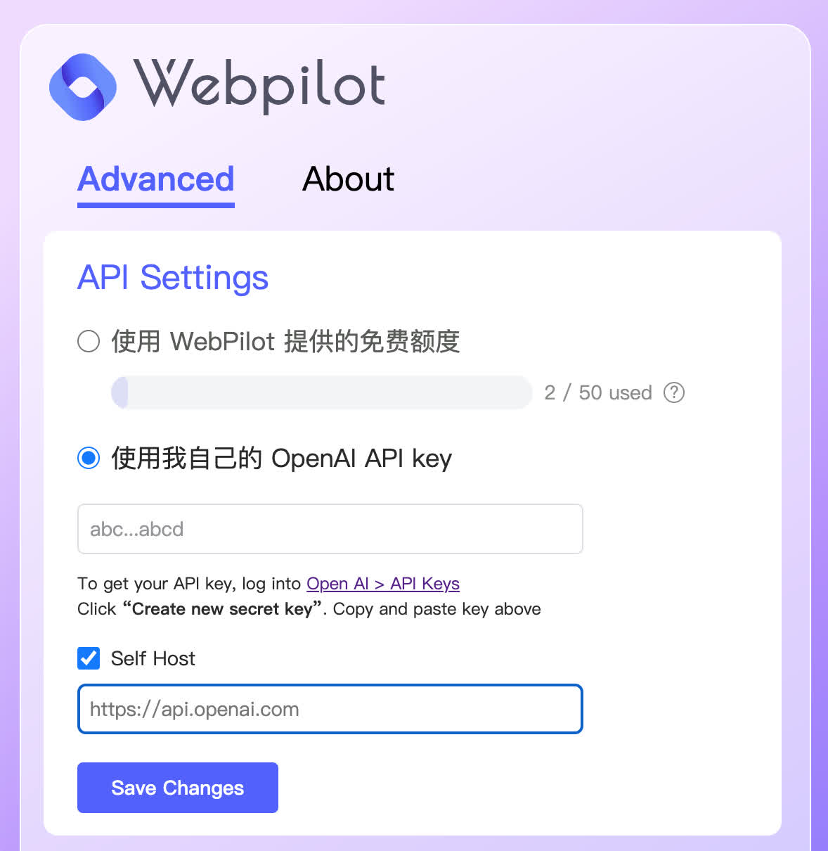 Webpilot settings